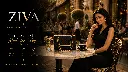 ChatGPT Image Aug 26, 2026, 03_17_49 PM.webp
